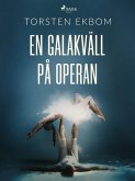 En galakväll på operan (eBook, ePUB)