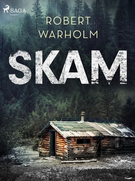 Skam (eBook, ePUB)