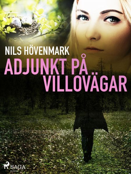 Adjunkt på villovägar (eBook, ePUB) Adjunkt på villovägar (eBook, ePUB)