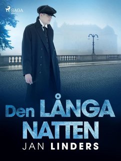 Cover Den långa natten (eBook, ePUB)
