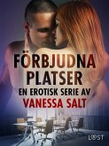 Förbjudna platser: En erotisk serie av Vanessa Salt (eBook, ePUB)