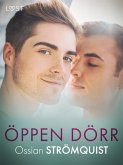 Öppen dörr - erotisk novell (eBook, ePUB) Öppen dörr - erotisk novell (eBook, ePUB)