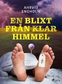 En blixt från klar himmel (eBook, ePUB)