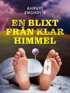 Cover En blixt från klar himmel (eBook, ePUB)