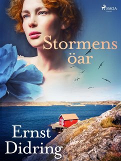 Cover Stormens öar (eBook, ePUB)