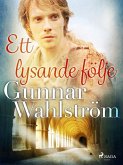 Ett lysande följe (eBook, ePUB)