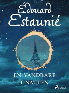 Cover En vandrare i natten (eBook, ePUB)