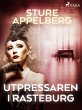 Utpressaren i Rasteburg (eBook, ePUB) - Bild 1