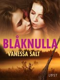 Blåknulla - påskerotik (eBook, ePUB)