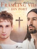 Främling vid din port (eBook, ePUB)