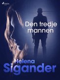 Den tredje mannen (eBook, ePUB)