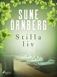 Cover Stilla liv (eBook, ePUB)