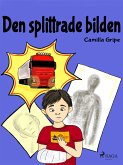 Den splittrade bilden (eBook, ePUB)