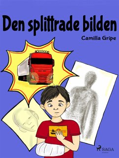 Cover Den splittrade bilden (eBook, ePUB)