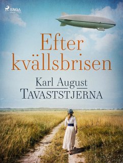 Cover Efter kvällsbrisen (eBook, ePUB)