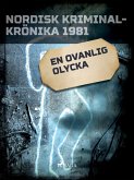 En ovanlig olycka (eBook, ePUB)