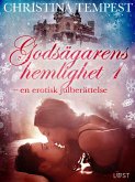 Godsägarens hemlighet 1 - en erotisk julberättelse (eBook, ePUB)