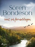 Sent på förmiddagen (eBook, ePUB)