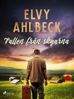 Cover Fallen från skyarna (eBook, ePUB)