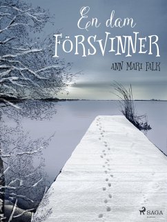 Cover En dam försvinner (eBook, ePUB)