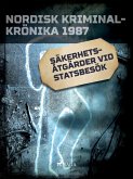 Säkerhetsåtgärder vid statsbesök (eBook, ePUB)