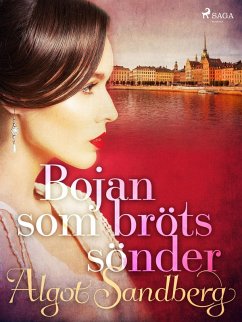 Cover Bojan som bröts sönder (eBook, ePUB)