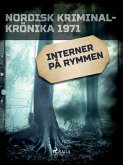 Interner på rymmen (eBook, ePUB)