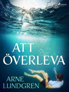 Att överleva (eBook, ePUB) - Lundgren, Arne