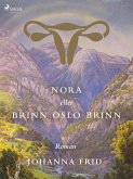Nora eller Brinn Oslo brinn (eBook, ePUB)