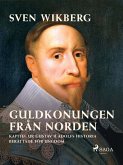 Guldkonungen från Norden : kapitel ur Gustav II Adolfs historia berättade för ungdom (eBook, ePUB)