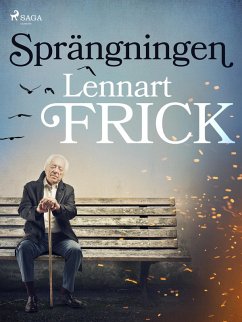 Cover Sprängningen (eBook, ePUB)