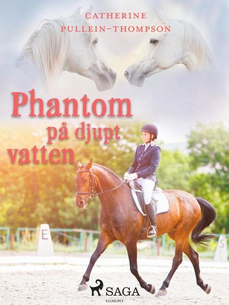 Phantom på djupt vatten (eBook, ePUB)