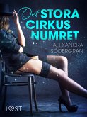 Det stora cirkusnumret (eBook, ePUB)