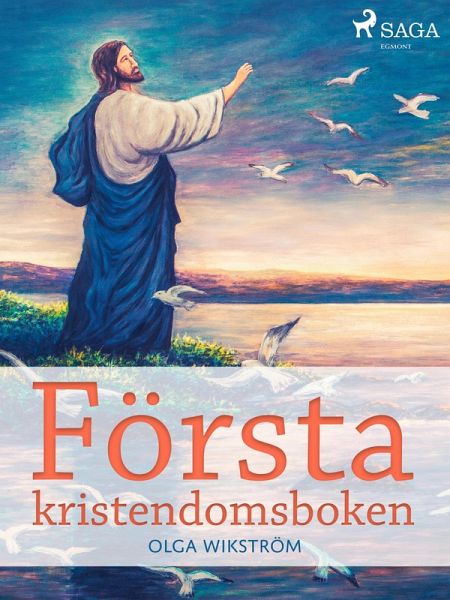 Första kristendomsboken (eBook, ePUB)