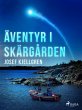 Äventyr i skärgården (eBook, ePUB) - Bild 1