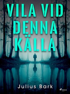 Cover Vila vid denna källa (eBook, ePUB)