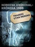 Tragedi utan mening (eBook, ePUB)