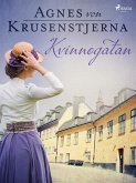 Kvinnogatan (eBook, ePUB)