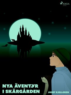 Cover Nya äventyr i skärgården (eBook, ePUB)