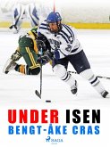 Under isen (eBook, ePUB)