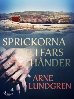 Sprickorna i fars händer (eBook, ePUB) - Lundgren, Arne