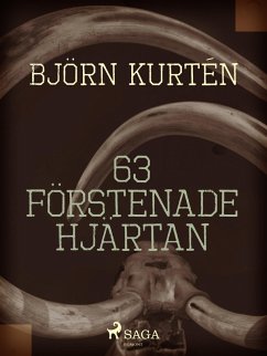 Cover 63 förstenade hjärtan (eBook, ePUB)