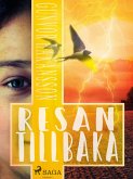 Resan tillbaka (eBook, ePUB)