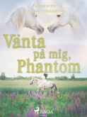 Vänta på mig, Phantom (eBook, ePUB)