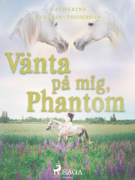 Vänta på mig, Phantom (eBook, ePUB) Vänta på mig, Phantom (eBook, ePUB)