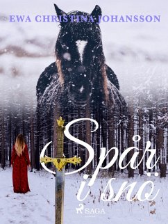 Cover Spår i snö (eBook, ePUB)