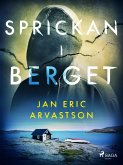 Sprickan i berget (eBook, ePUB)