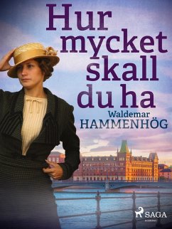 Cover Hur mycket skall du ha (eBook, ePUB)