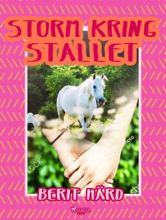 Cover Storm kring stallet (eBook, ePUB)