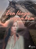 Den långa vägen hem (eBook, ePUB)